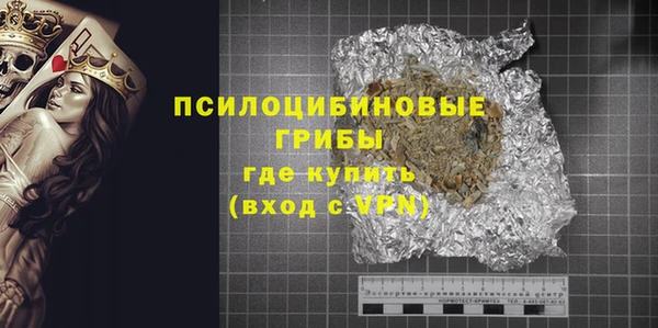 хмурый Алексин