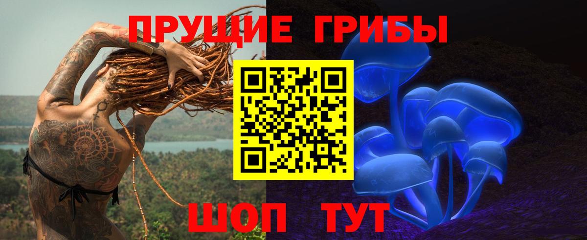 Галлюциногенные грибы Cubensis  Вход с VPN  Кумертау 